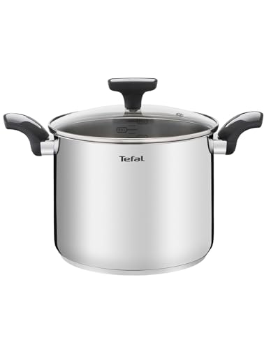 Olla Tefal Emotion 22cm 6L