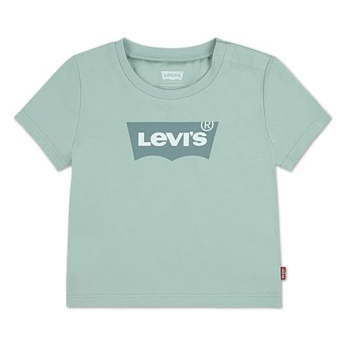 Camiseta Batwing Verde Niño - Levi's