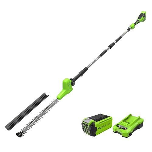 Cortasetos Pértiga Greenworks 40V